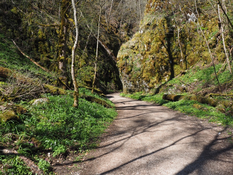 sunlight, tranquil scene, green color, scenics - nature, hiking, road, outdoors, swabian alb, the way forward, rock, direction, wolf valley, non-urban scene