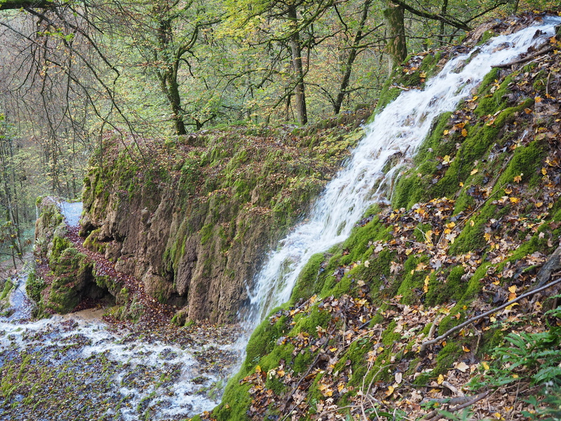 plant, power in nature, forest, solid, rock, flowing Water, land, Wasserfall, tree, freshness, woodland, green Color, day, sinterkalkterrasse, scenics - nature