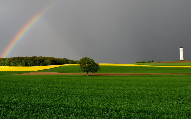 landscape, scenery, rainbow, 1080P, nature, green, fields