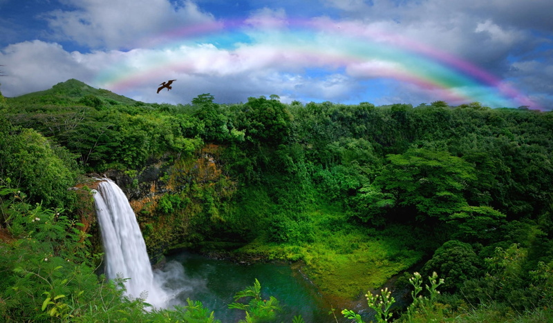 beauty in nature, growth, flowing, land, rainbow, outdoors, cloud - sky, scenics - nature, tree, flying, plant, green color, 1080P, tranquil scene, sky