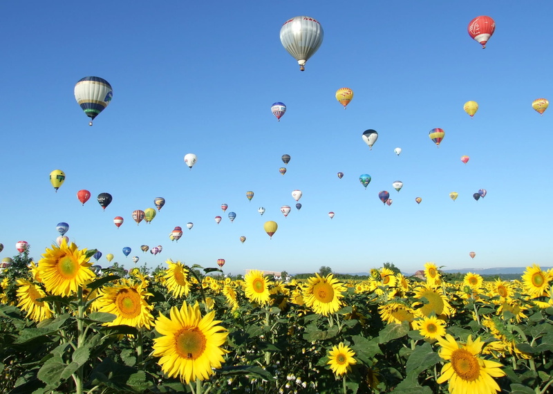 sunflowers, Mondial, sky, nature, Lorraine, hot air balloons, summer, air, yellow, balloons, 720P, chambley, multi Colored, hot, hot Air Balloon, Ballons