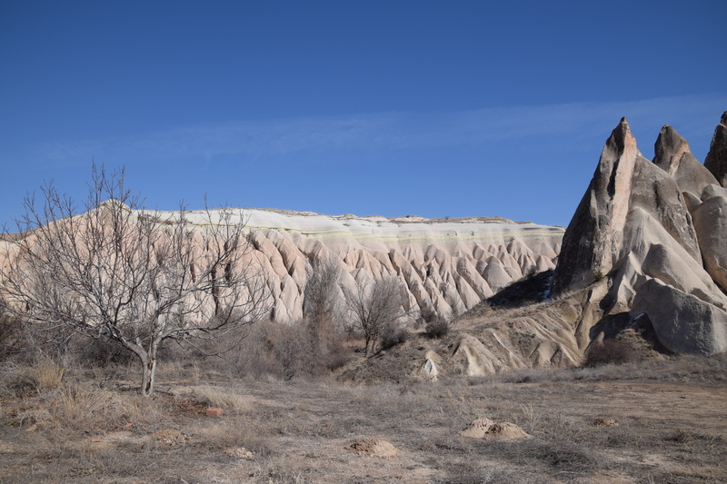 rose valley, scenics - nature, desert, land, scenics, no people, sky, tree, climate, rock formation, environment, tranquility, beauty in nature, cloud - sky