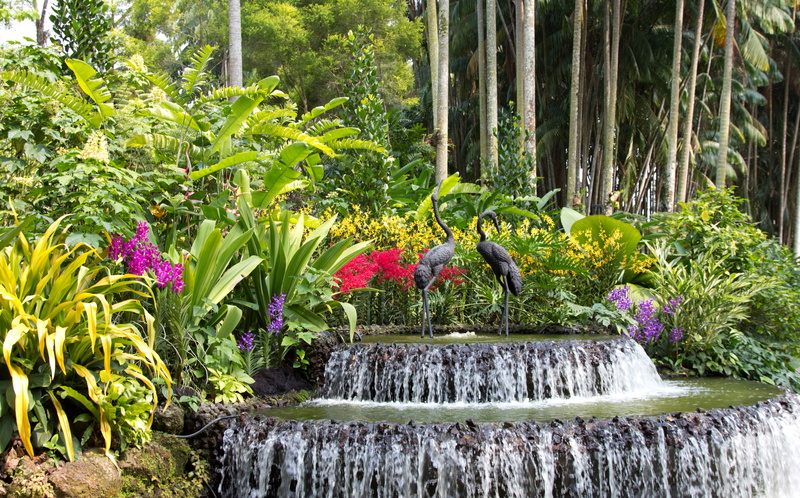 trees, the bushes, flowing water, flowerbed, day, scenics - nature, nature, flowering plant, forest, flowers, garden, birds, outdoors, sculpture, green color
