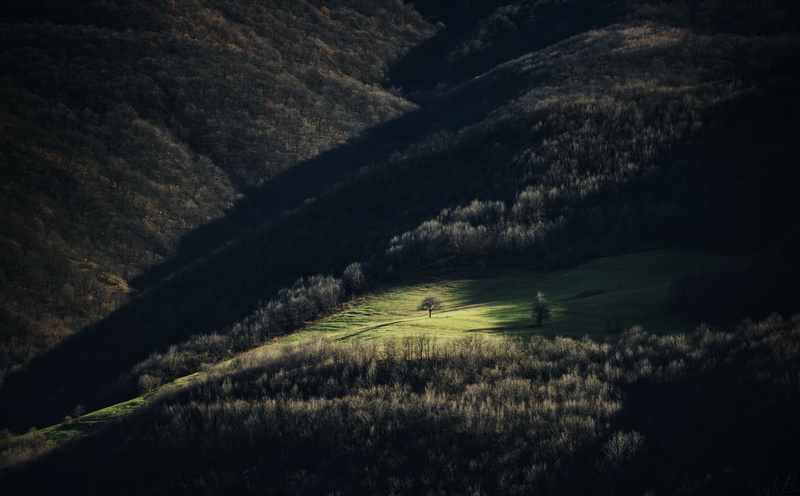 landscape, hayk, armenia, green, Meadow, Sunlight, hill, Woods, syunik, outdoors, rural scene, tranquil scene, land, Tree, beauty in nature, environment