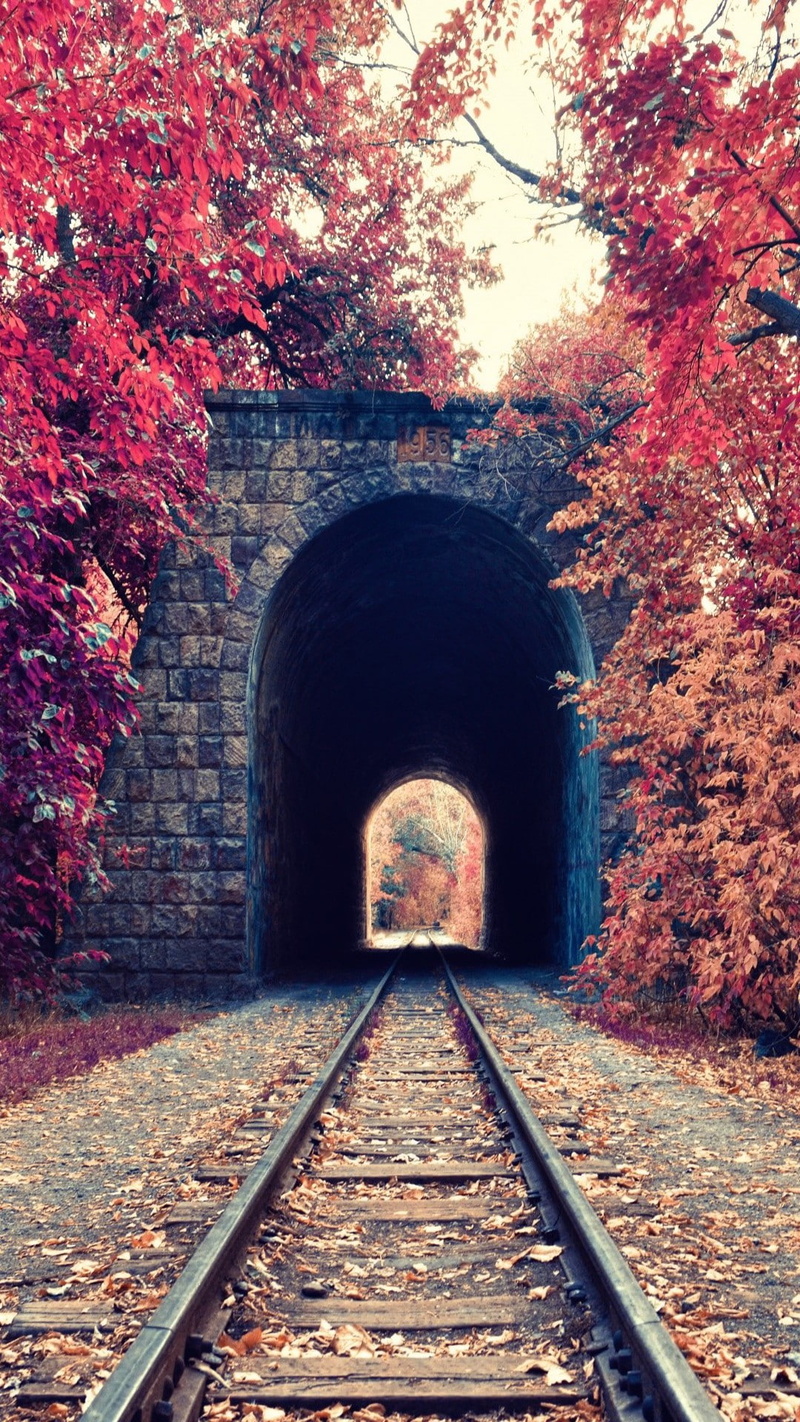 trees, portrait display, leaves, railway, bricks, tunnel, 1080P, red, nature, Armenia, fall