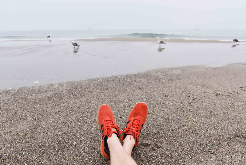 person, red, body part, 4K, orange, pigeons, birds, real people, lifestyles, shore, nature, wearing, human body part, ocean, personal perspective, day