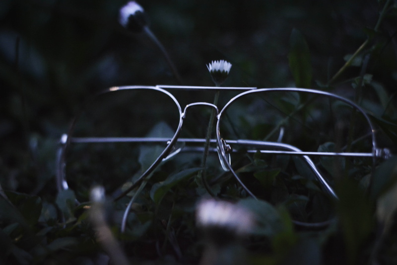 no people, focus on foreground, land, forest, leaf, sunset, nature, motion, hipster, security, flowers, tumblr, tree, glasses, metal, outdoors