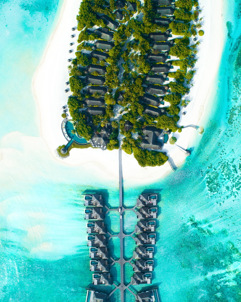 beach, water, land, animal themes, pool, rise, outdoors, day, transparent, nature, ocean, motion, shoreline, island, underwater, turquoise colored