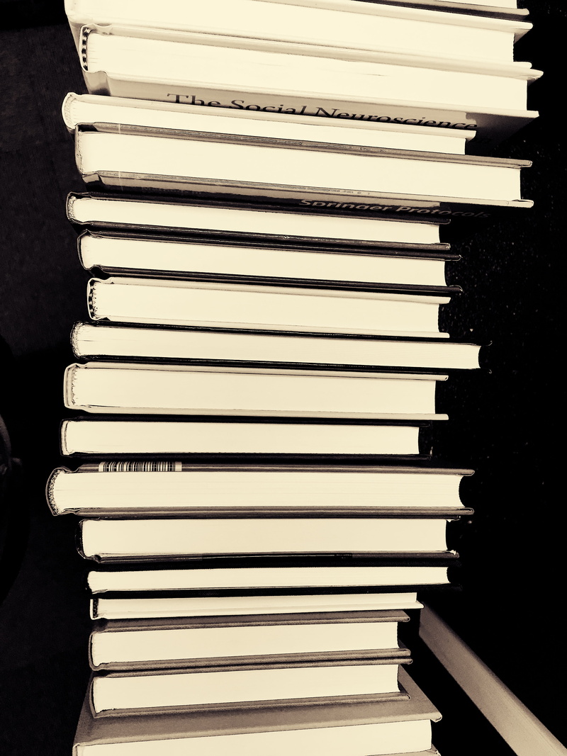 no people, group of objects, information, order, close-up, university, studying, arrangement, education, abundance, high angle view, hardcover book, stack