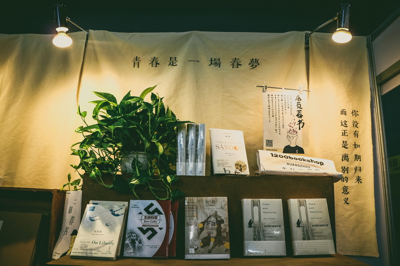 plant, message, western script, creative, bookshop, book, communication, nature, no people, non-western script, business, indoors, potted plant, illuminated
