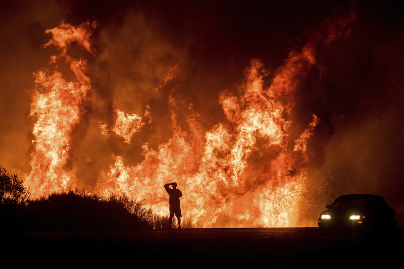 outdoors, destruction, warning sign, forest, heat - temperature, communication, standing, motion, 4K, jungle, one person, flame, orange color, night, hd