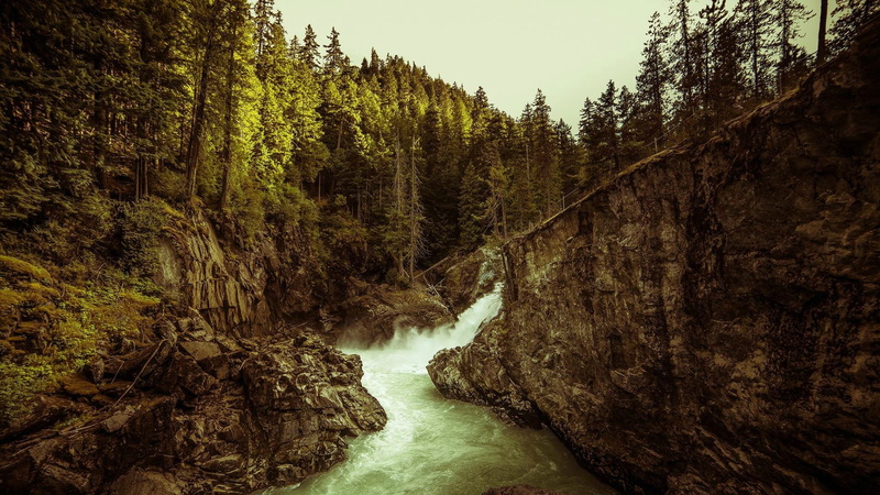 non-urban scene, cliff, plant, tree, nature, trees, flowing water, outdoors, rock, motion, environment, waterfall, scenics - nature, river, power in nature