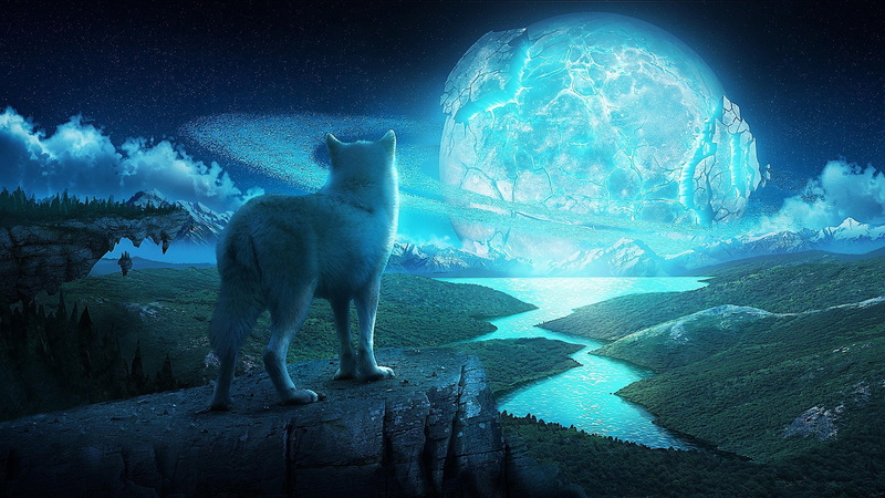 art, wolf, river, planet, fantasy, graphic, near, cliff, blue, white, 1080P, hd
