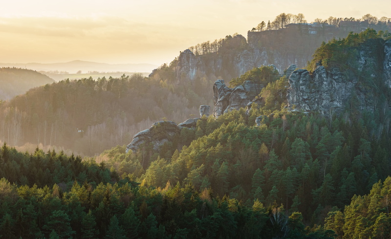 Evening, green rain, Explore, forest, Saxony, Sony, rain, mountain, Licht, Swiss, landscape, light, beauty In Nature, FE, green, daytime, 4K, scenics