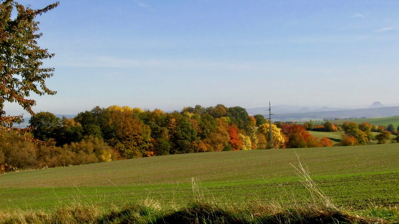 no people, sächsische schweiz-osterzgebirge, beauty in nature, 4K, scenics - nature, sky, rural scene, landscape, non-urban scene, tranquility, plant