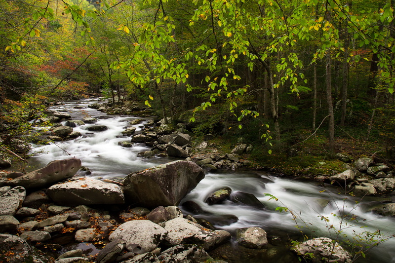 outdoors, lapse, stones, stream, waterfall, autumn, Rollin, on stones, daytime, National Park, scenics, time lapse photography, tree, green Color, photography