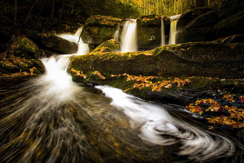 long exposure, leaf, Waters, outdoors, fall colors, tree, rock - Object, Tremont, scenics, Turbulent, nature, freshness, waterfalls, falling, daytime, stream