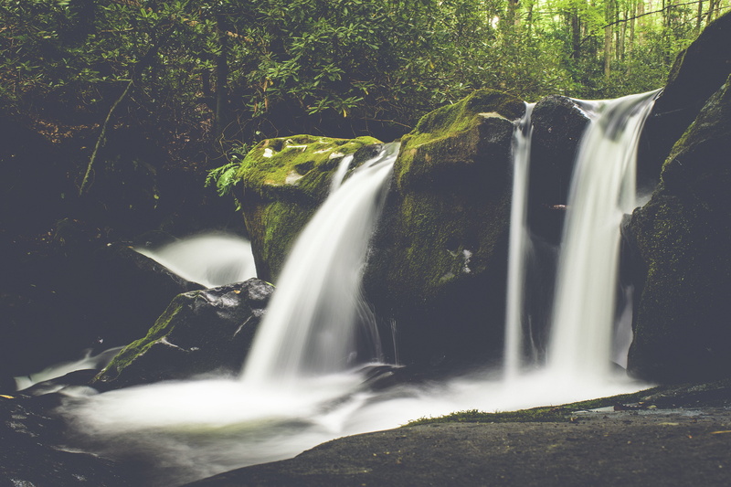 waterfall, waterfalls, power in nature, united states, bird, growth, water, middle prong trail, no people, rock, animal, gatlinburg, photography, river