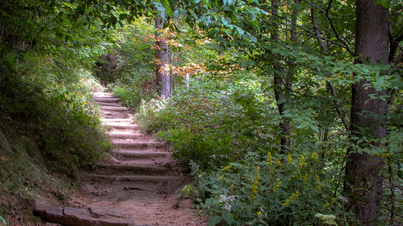 road prong trailhead, scenics - nature, tranquil scene, direction, trail, architecture, green color, tranquility, forest, united states, footpath, plant