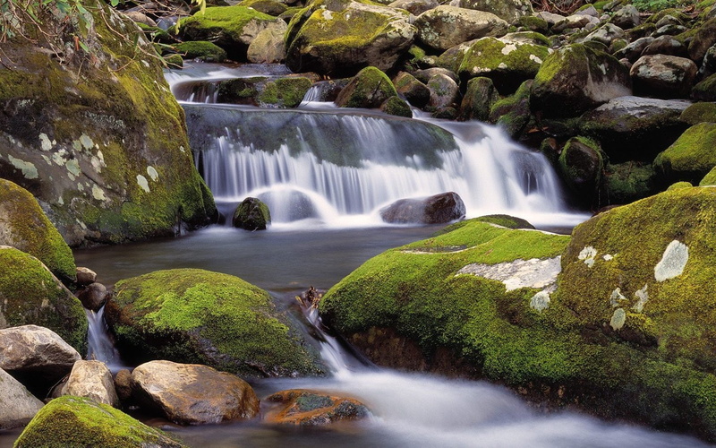 forks, smoky, nature, great, tennessee, landscapes, mountains, rocks, moss, 720P