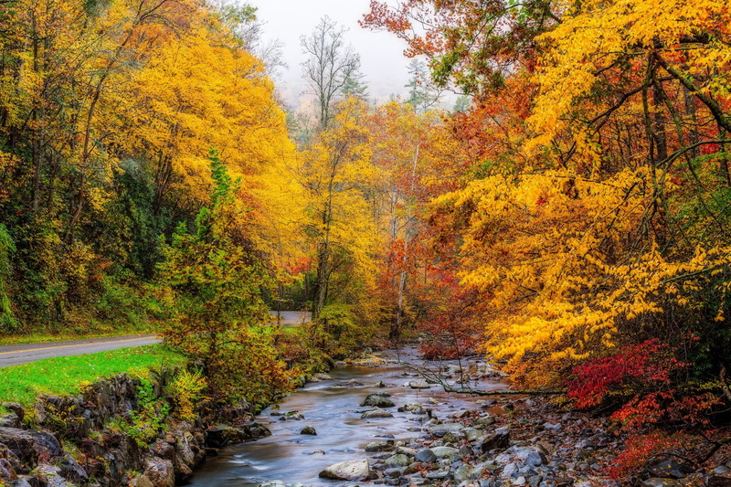 autumn, usa, great, parks, 1080P, mountains, smoky, stream, forests, nature