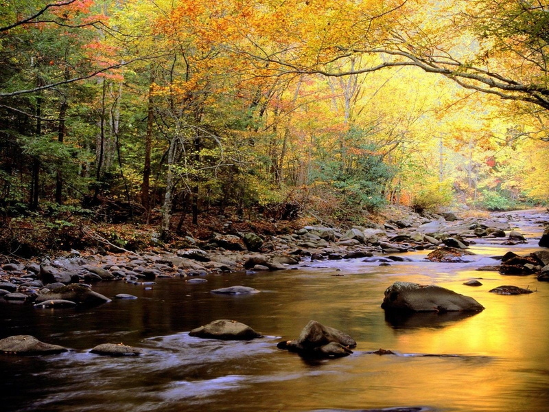 trees, smoky, water, lakes, landscapes, tennessee, golden, reflections, mountains, park, nature, great, 720P, national