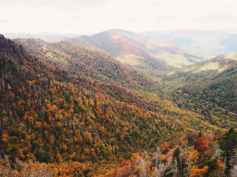 nature, national parks, tennessee, autumn, national park, non-urban scene, fall, tranquil scene, autumn collection, environment, no people, land, high angle view