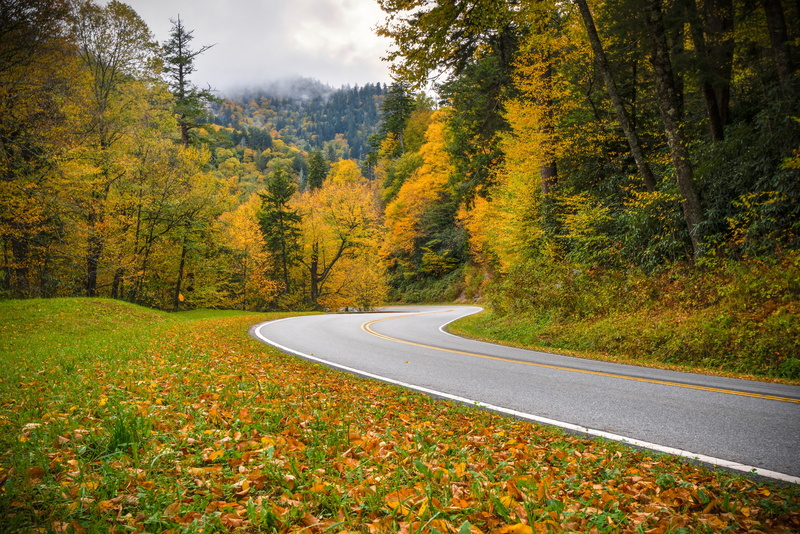 Tn, road, forest, Great Smoky Mountains National Park, autumn, National Park great smoky mountains, 2K, Tennessee