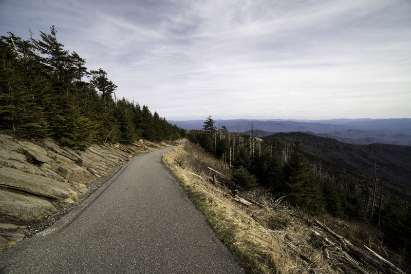road, path, environment, Tennessee, diminishing perspective, Trail, the way forward, cloud - sky, smoky, no People, tree, 5K, tranquility, vanishing point