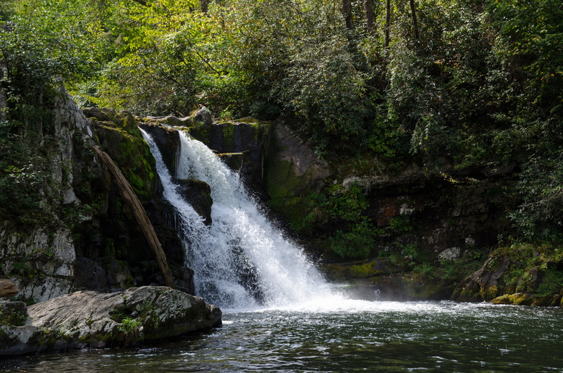 bach, long exposure, scenics - nature, water, usa, abraham creek, outdoors, hiking, abraham if, trees, waterfalls, southern states, day, rainforest, river