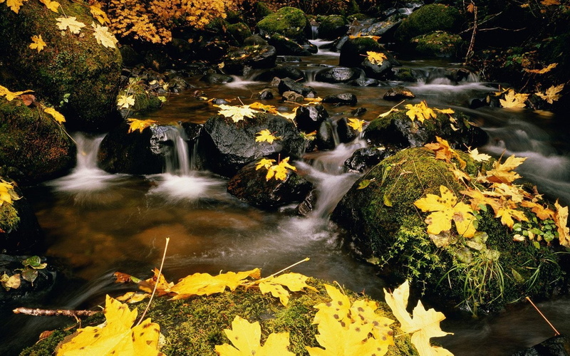 change, national, mountains, seasons, tennessee, great, smoky, park, landscapes, 720P