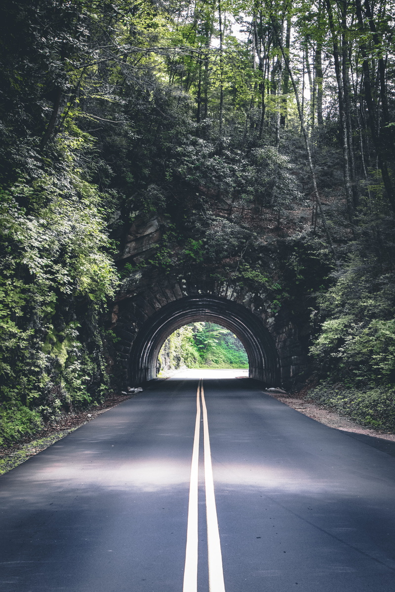 outdoors, national park, day, diminishing perspective, nature, trees, tennessee, bridge - man made structure, great smoky mountains, us, united states