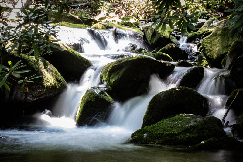rainforest, scenics - nature, beauty in nature, 5K, outdoors, growth, solid, plant, national park, tree, forest, mountains, waterfall, stream - flowing water
