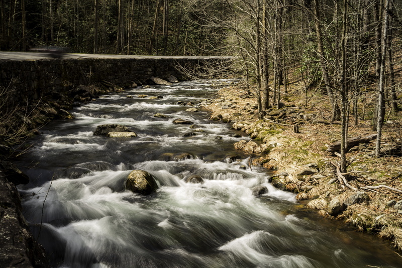 nature, flowing, 5K, river, scenics, photos, landscape, flowing Water, park, great, national, forest, landscapes, land, woodland, north, featured, power in nature