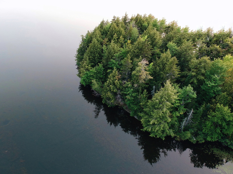 growth, fog, drone, nature, canada, no people, s, high angle view, quebec, eye, dji, aerial, mist, lake, trees, forest, beauty in nature, tree, view, coniferous tree