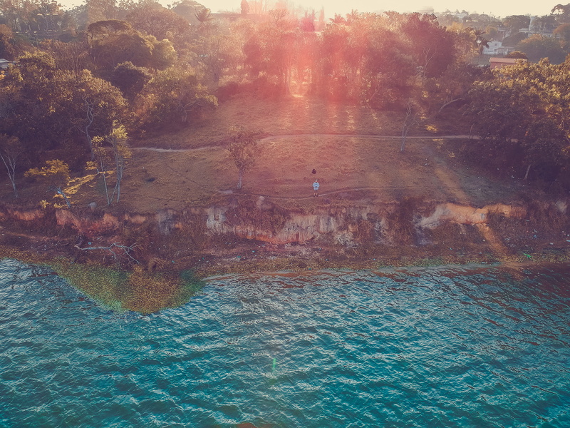 trees, sunlight, nature, serjosoza, drone, billings, tranquility, outdoors, beauty in nature, tree, sea, idyllic, water, day, djispark, waterfront, spark