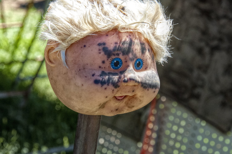 hair, headshot, real people, representation, 4K, blond hair, men, antique, round top, close-up, childhood, evil, hairstyle, vintage, human representation