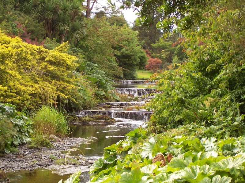 tranquility, waterfall, little water fall, green trees, peaceful scene, tree, picturesque, no people, river, water, stream - flowing water, flowing, beauty in nature