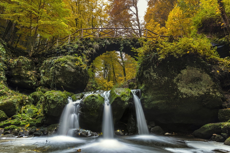 Black Ernz river, Little Switzerland, cascade, waterfall, Luxembourg Switzerland, bridge, Mullerthal, the river Ernz Noire, forest, Luxembourg, autumn
