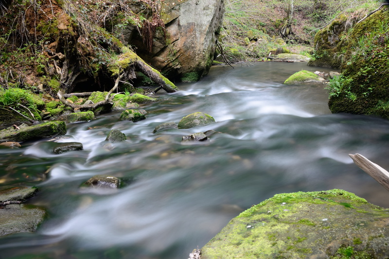grasses, ND filter, Müllerthal, CR 121, Luxembourg, surrounded, Water, nature, Grevenmacher, river, Consdorf, Echternach, tree, waterfall, 4K, Little Switzerland