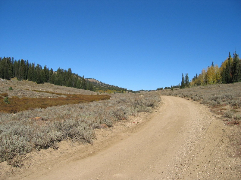 3d and abstract, creek, mountain, road, summer, beaver, mountain road, utah, 1080P