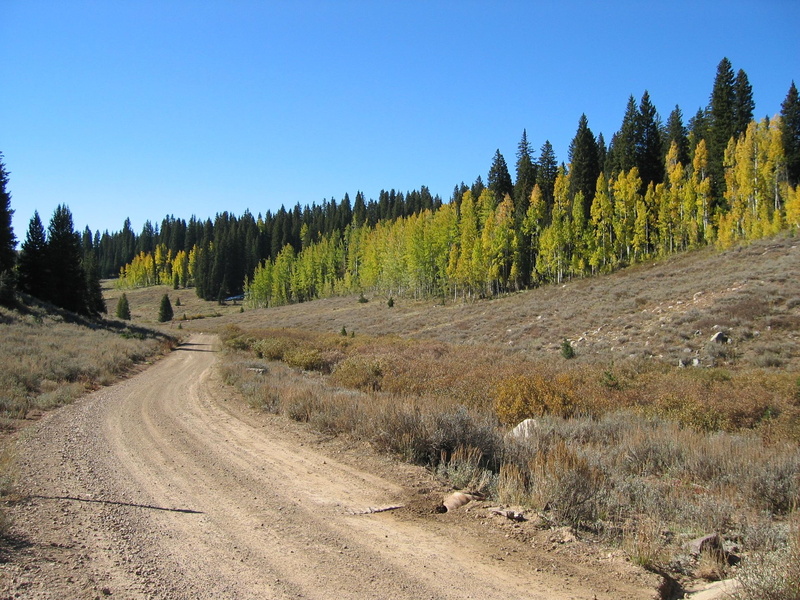 trees, creek, road, beaver, brown, utah, dirt road, 1080P, 3d and abstract, mountain, mountains, roadway