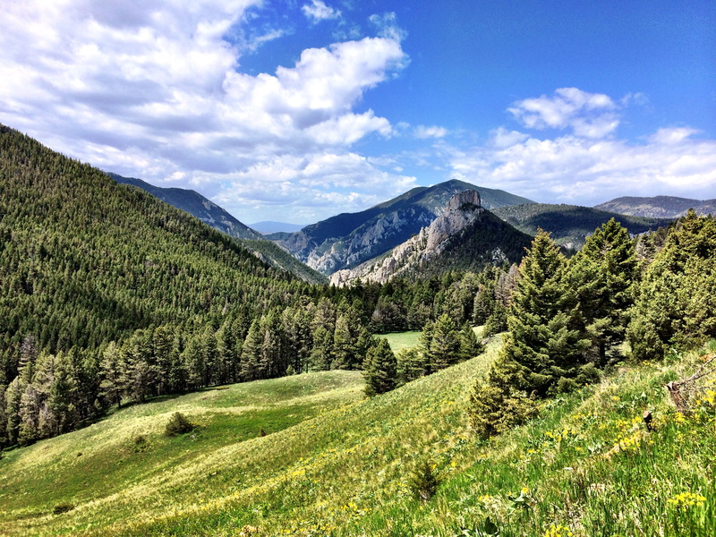 outdoors, green, blue, 2K, daytime, grass, sky, nature, beaver, forest, summer, creek, mountain, meadow, hill, landscape, tree, green Color, scenics