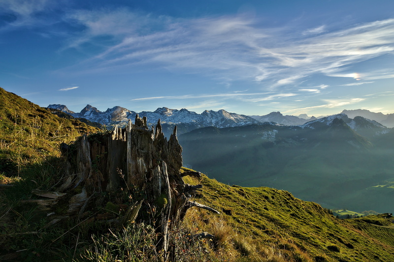 a6000, cut, sel-1018, tree, viewing, outdoors, european Alps, switzerland, mountain Range, summer, photo, mountain, scenics, 5K, mountain Peak, Stockberg