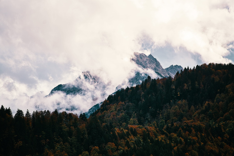 nature, tree, outdoors, top, environment, sky, land, plant, idyllic, burn, cloud, summer, indian summer, coniferous tree, mist, no people, beauty in nature