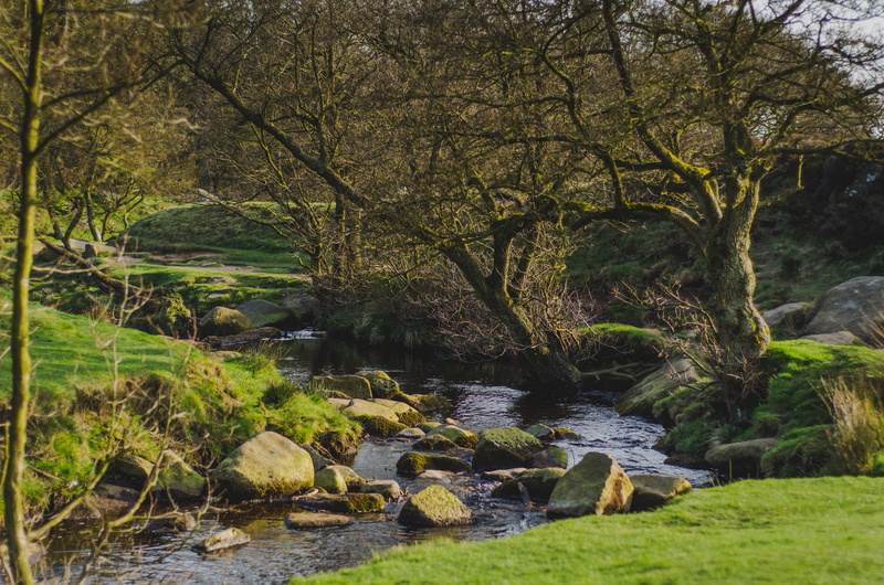 rocks, outdoors, tranquil scene, countryside, scenics - nature, woods, tree, day, flowing water, rock - object, serene, 4K, rock, forest, united kingdom
