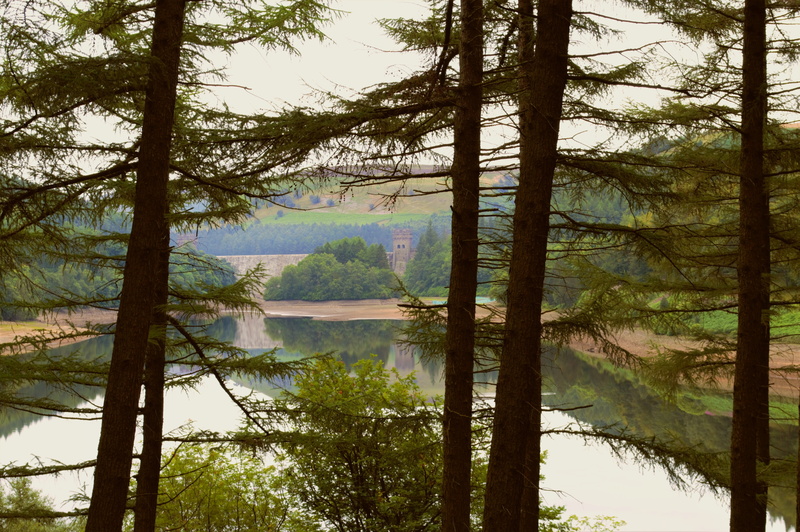 growth, reflection, dam, trees, 617 squadron, tree, land, howden dam, no people, upper derwent reservoir, tranquil scene, scenics - nature, outdoors, mountain