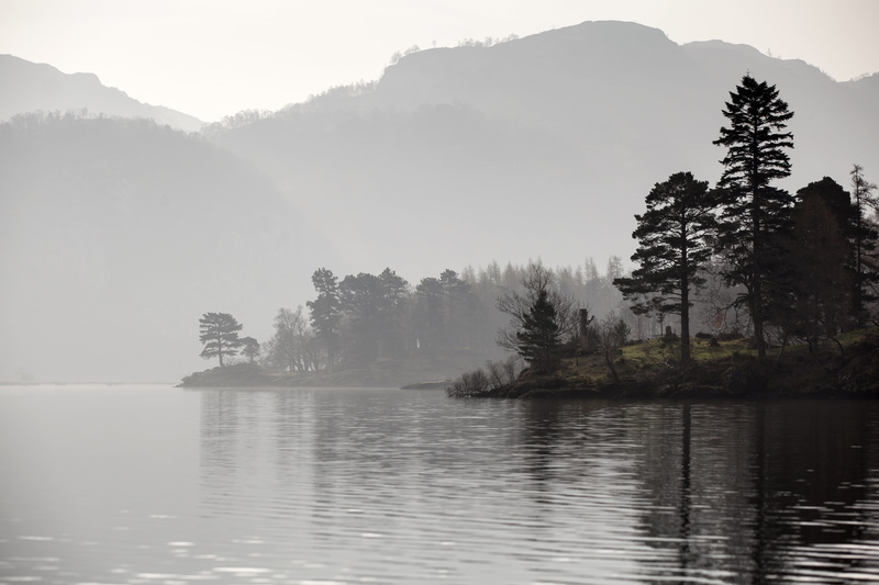 lake, plant, beauty in nature, river, non-urban scene, nature, water, tree, outdoors, lake district, mountain, day, fog, forest, waterfront, sky, growth