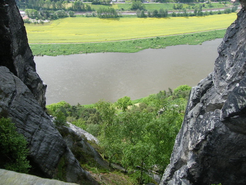 outdoors, nature, plant, high water, green color, riesa, river, saxon switzerland, magdeburg, day, no people, germany, beauty in nature, tranquil scene