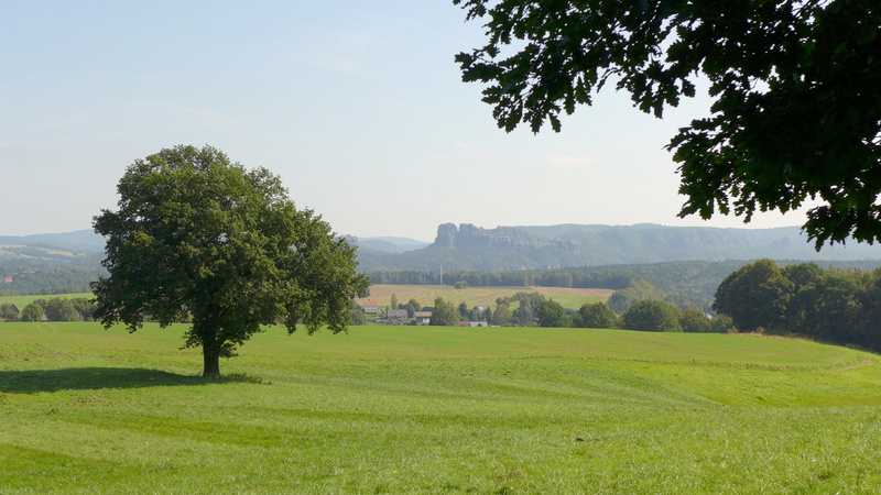 4K, tranquility, landscape, growth, day, field, schrammstein viewpoint, tree, land, non-urban scene, vision, schrammsteine view, grass, environment, sky